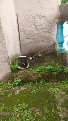 Ajudante - Uma vez por semana 