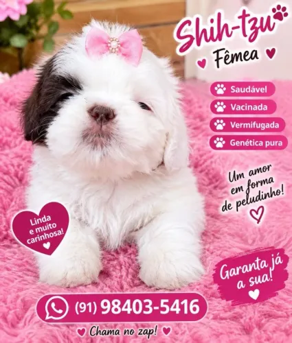 Vendas
