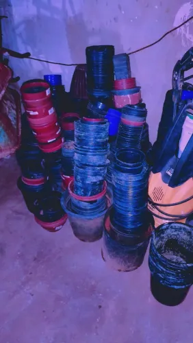 Vasos Pra replantio de mudas