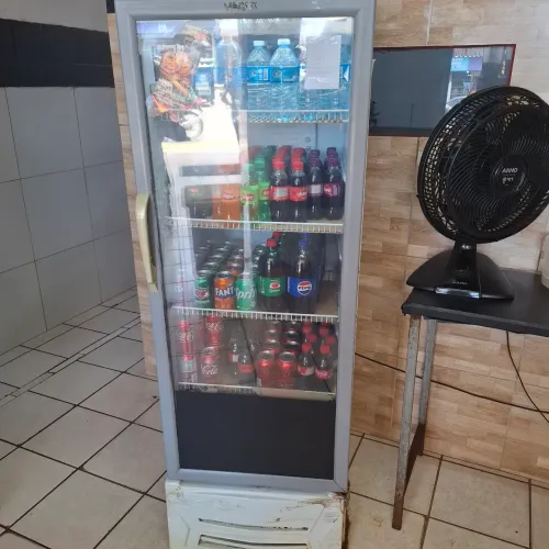 Expositor freezer 300 litros