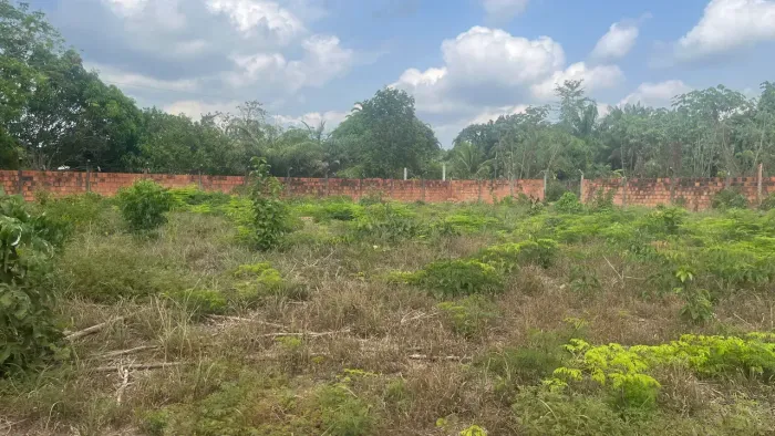 Lote 100% Documentados-Murado na estrada da Praia Açutuba