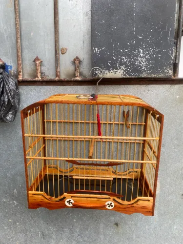 GAIOLA DE CAMPEADA NOVINHA 