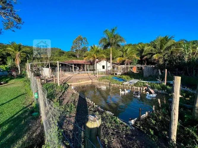 Sítio para venda tem 2.555 m² em Operário - Canta Galo/ Rio das Ostras - RJ