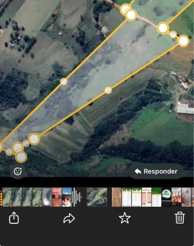 Sítio de 13 hectares próximo ao asfalto