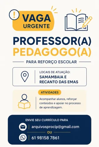 Professor (a) Pedagogo (a)