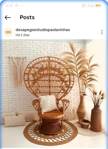 Cadeira pavão 