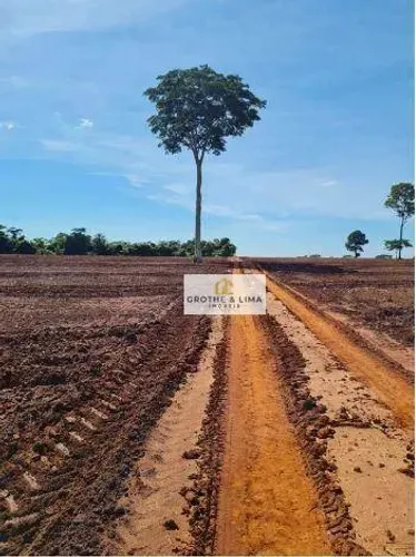Vendo fazenda com 2.354,14 alqueires Paulista na região de Presidente Prudente/SP.