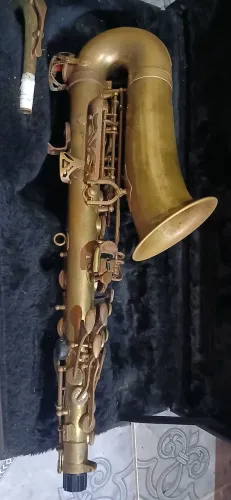 Sax Alto Shelter desplacado