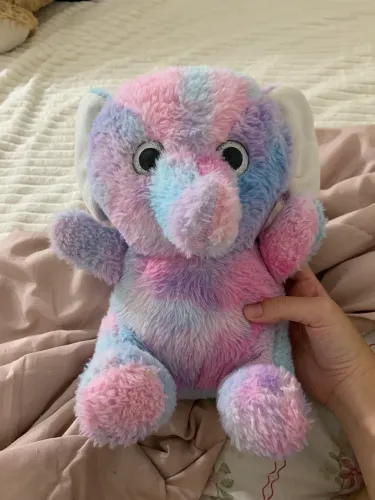 Urso elefante