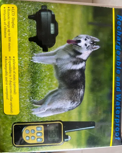 Coleira cão para treinamento