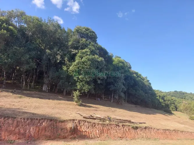 Terreno Linha 40 Caxias do Sul