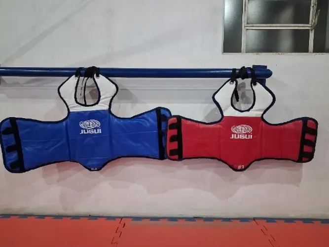 Protetor de Taekwondo 