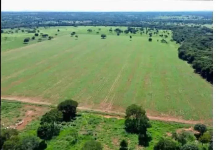 Fazenda à venda  229  alqueires em Zona Rural - Faina - GO