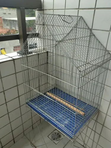 Gaiola pra Pássaros 