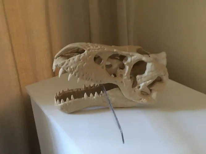 Caveira dinossauro