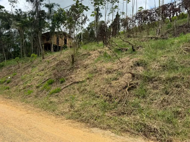 Terreno Alto -excelente custo e benefício.