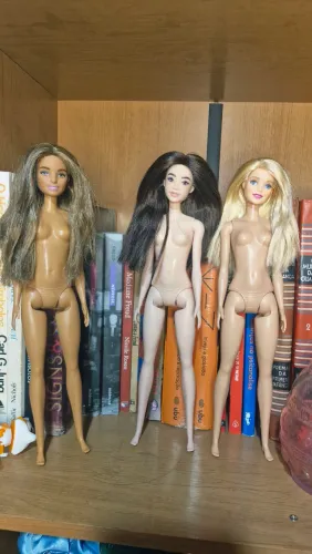 Barbie Fashionistas lote