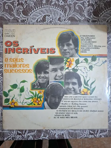 LP Vinil