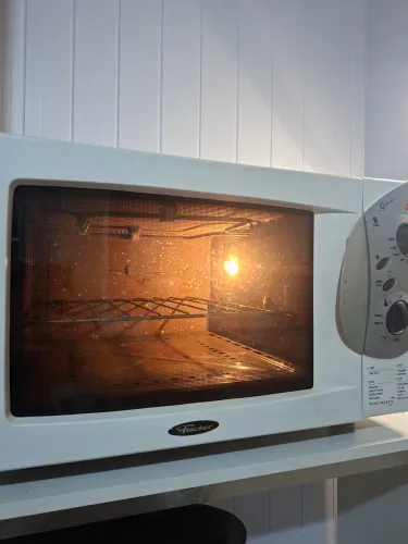 Forno Elétrico Fischer R$260