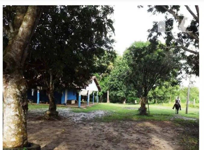 ? OPORTUNIDADE IMPERDÍVEL! FAZENDA À VENDA EM TUCURUÍ - PA ?