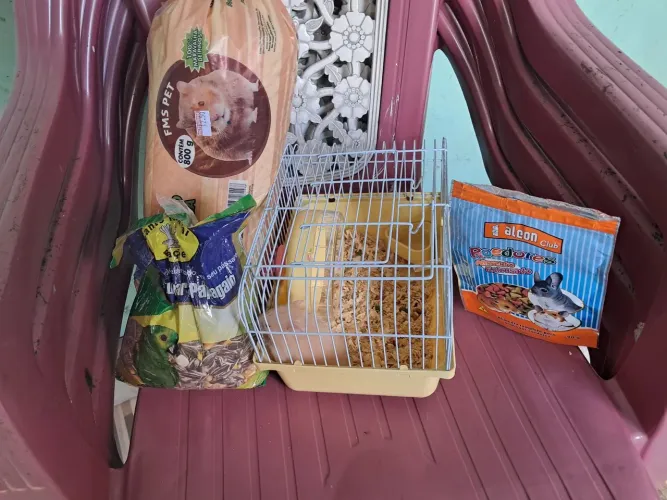 Hamster macho junto com a casinha e comida
