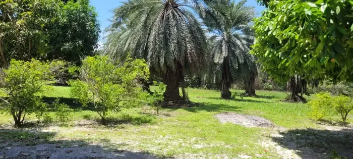 PRAIA DE PANAQUATIRA: Sítio à venda a 500m da praia Grande Ilha de São Luís.