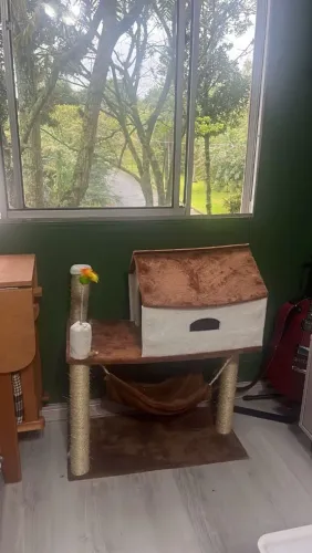 Casinha com rede para gatos