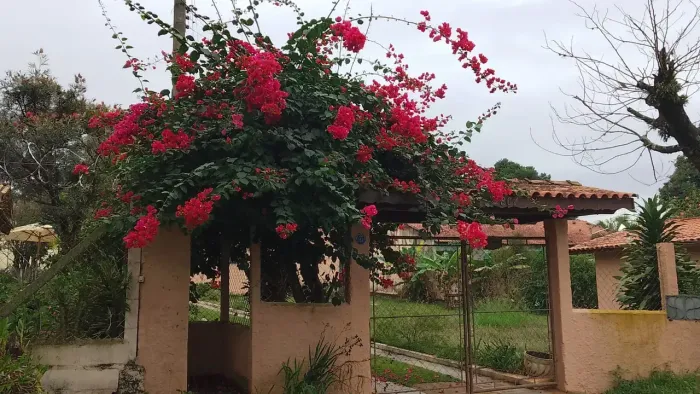 Linda chácara térrea em Araçoiaba da Serra