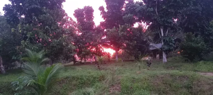 Alugo belíssimo sitio