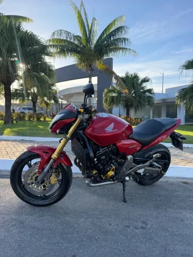 Hornet 2014 Zera