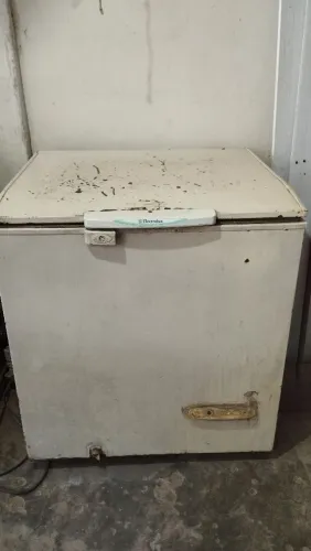 Freezer Electrolux
