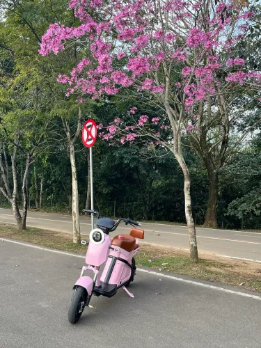 Scooter WD2