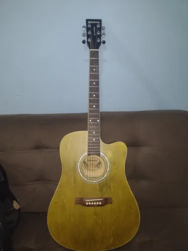 Violão Waldman 