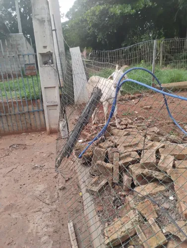 Vende-se cabritos diverços 