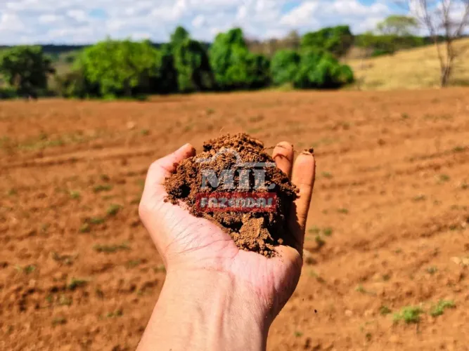 Fazendinha 15,5 Alqueires (75 Hectares) Leopoldo de Bulhões - GO