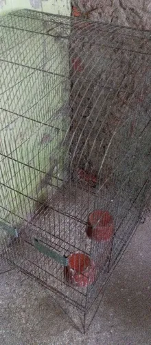 Gaiola de passarinho, e vem com DOIS potinhos de barro ( para água e comida)