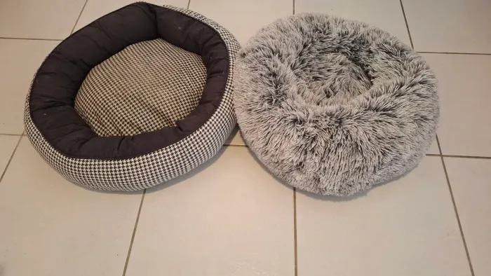 Caminhas para Pet
