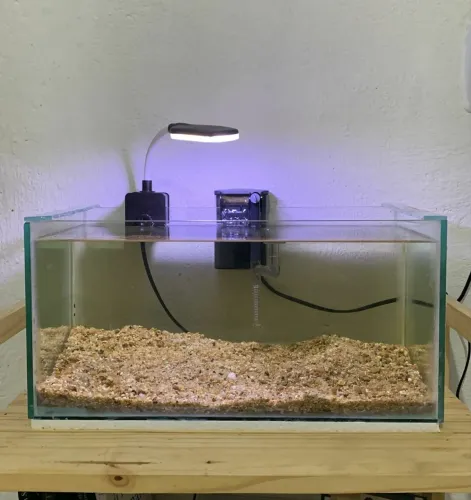 Aquário de 15 litros mais acessórios