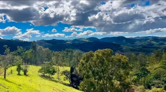 Bosque das Araucárias