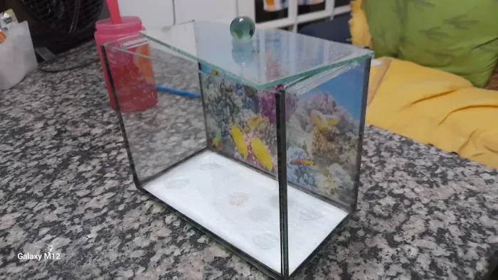 Aquário para peixe