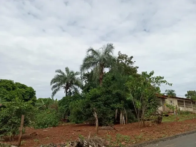 Terreno em Trindade, de esquina, área construída de 78,8m2, área total de 1.331,34m2