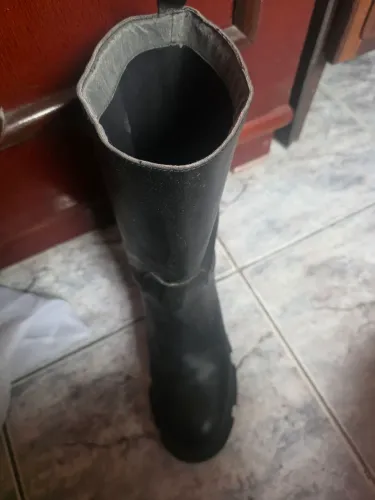 Bota