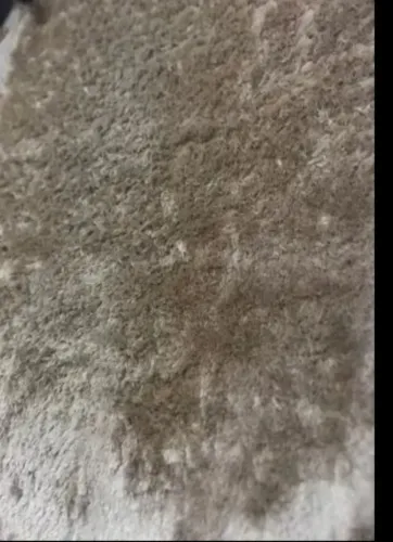Tapete fio de seda, semi novo tamanho 3/2