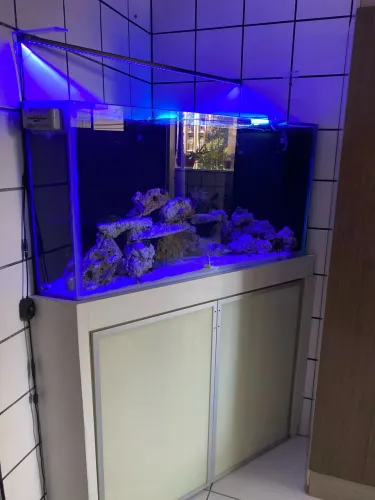 AQUÁRIO MARINHO 500 LITROS 