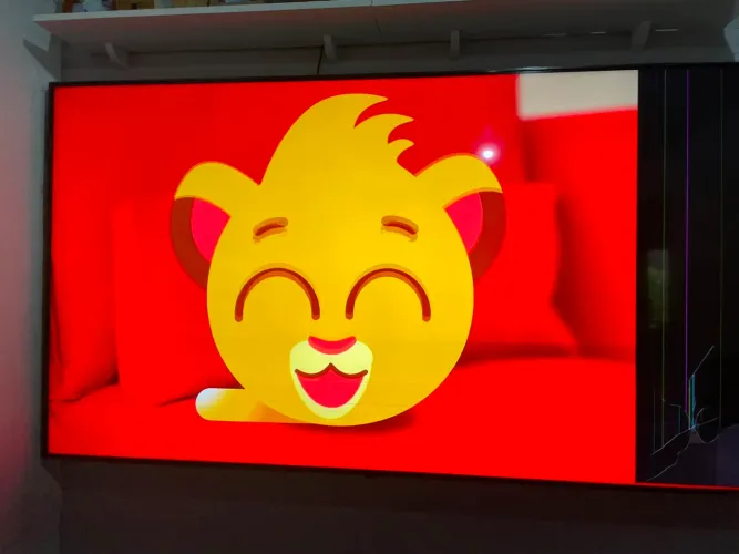Televisão