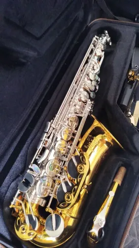 Sax alto Tokai semi novo modelo TSA-300 PG top de som 