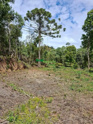 Terreno a Venda no bairro Rural - Marmelópolis, MG