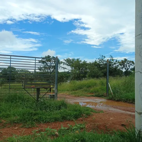 Lote no Recanto das Emas 