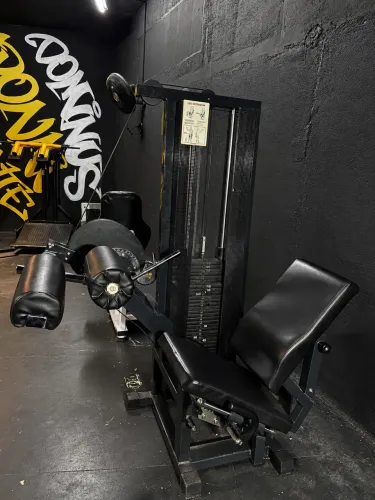 Cadeira Flexora Technogym Isotonic