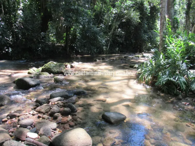 Propriedade c/ Cachoeira Privada Encantadora